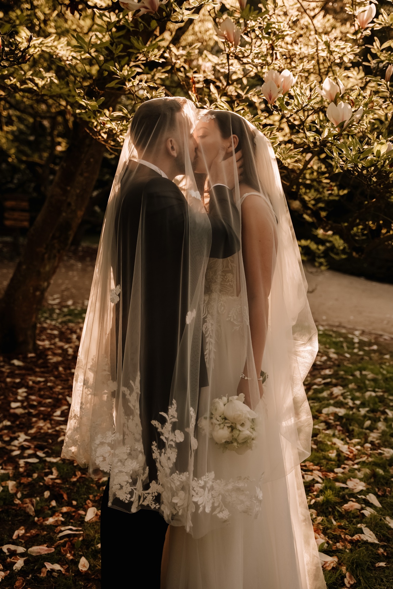 Para młoda całująca się pod welonem z koronkowymi aplikacjami na tle kwitnącej magnolii w ciepłym, naturalnym świetle.