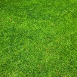 Pielęgnacja ogrodów Poznań 2