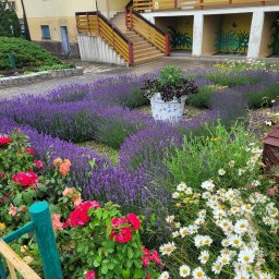 Pielęgnacja ogrodów Poznań 4