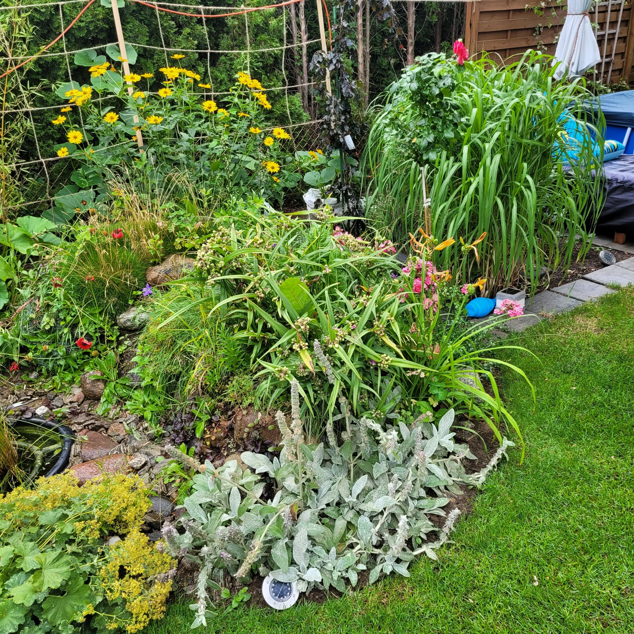 Bujny, różnorodny ogród z żółtymi rudbekiami, ozdobnymi trawami, roślinami okrywowymi i małym oczkiem wodnym, oświetlony solarną lampką.