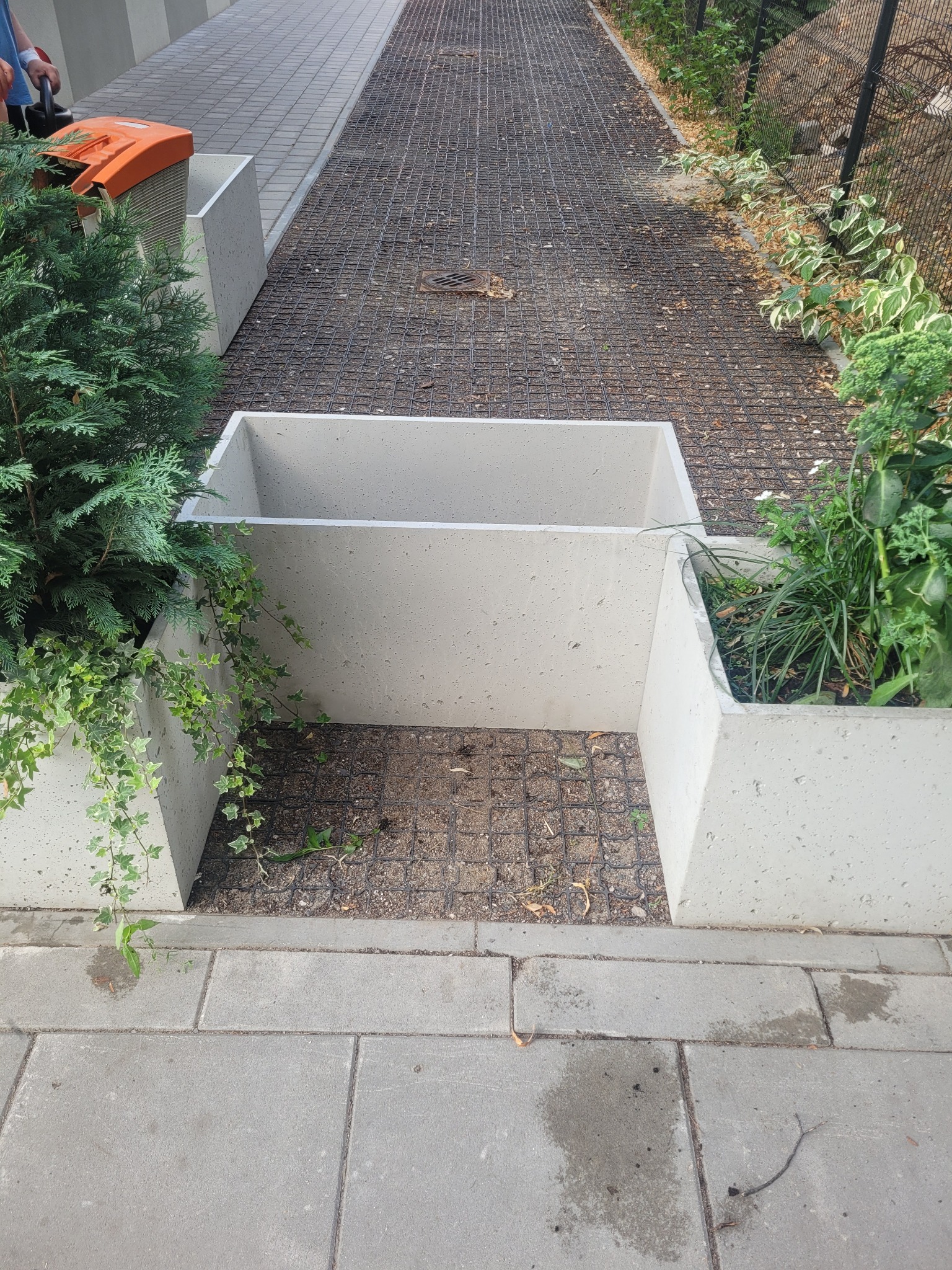 Betonowe donice z roślinami: iglakiem, bluszczem i trawami ozdobnymi, ustawione na chodniku z kostki brukowej, z widoczną kratką trawnikową w tle.