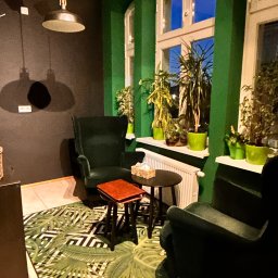 Psycholog Edyta Tabor - Centrum Zintegrowanego Wsparcia Psychicznego MindsET - Klimatyczny gabinet z zielonymi ścianami, roślinami w oknach i wygodnymi fotelami. Lampa sufitowa i wzorzysty dywan tworzą przytulną atmosferę.