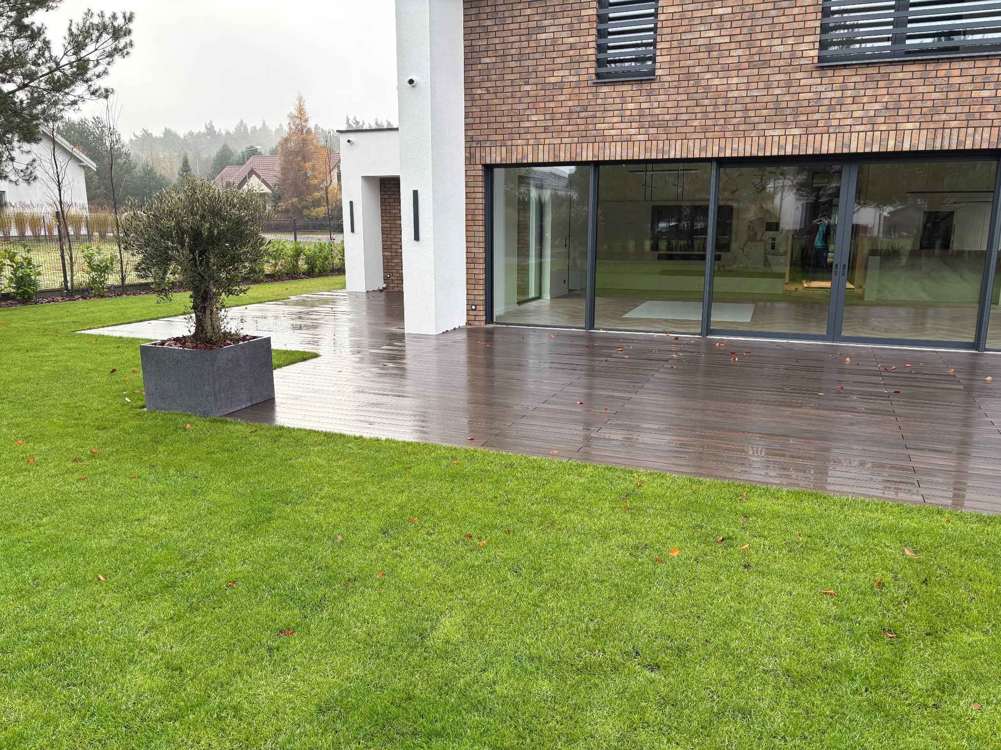 Nowoczesny dom z brązową elewacją i przesuwnymi oknami wychodzącymi na mokry taras z ciemnego drewna, obok trawnik z drzewkiem oliwnym w szarej donicy.