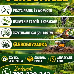 Wycinka drzew Nowa Wieś Lęborska 2