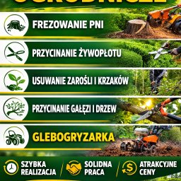 Wycinka drzew Nowa Wieś Lęborska 3