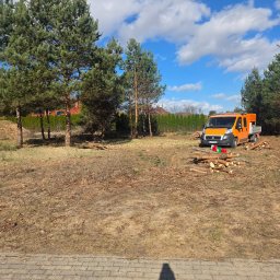 Radoslaw Cupryniak - Pomarańczowy samochód dostawczy na działce z pociętymi pniami drzew. W tle wysokie drzewa iglaste i błękitne niebo z chmurami. Cień osoby w dolnej części kadru.