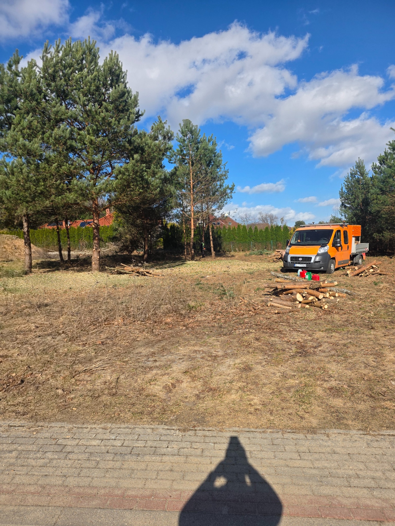 Pomarańczowy samochód dostawczy na działce z pociętymi pniami drzew. W tle wysokie drzewa iglaste i błękitne niebo z chmurami. Cień osoby w dolnej części kadru.