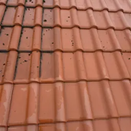 Częściowo wyczyszczona, mokra, ceramiczna dachówka w odcieniach czerwieni, z widocznymi śladami zabrudzeń i mchu na górnej części dachu, ukazująca efekt czyszczenia pod ciśnieniem.