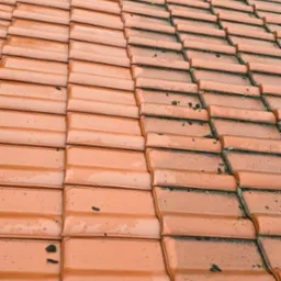 Częściowo umyty dach z czerwonej dachówki, widoczny kontrast między czystą a zabrudzoną powierzchnią, mech i zanieczyszczenia w fugach, górą zieleń drzew