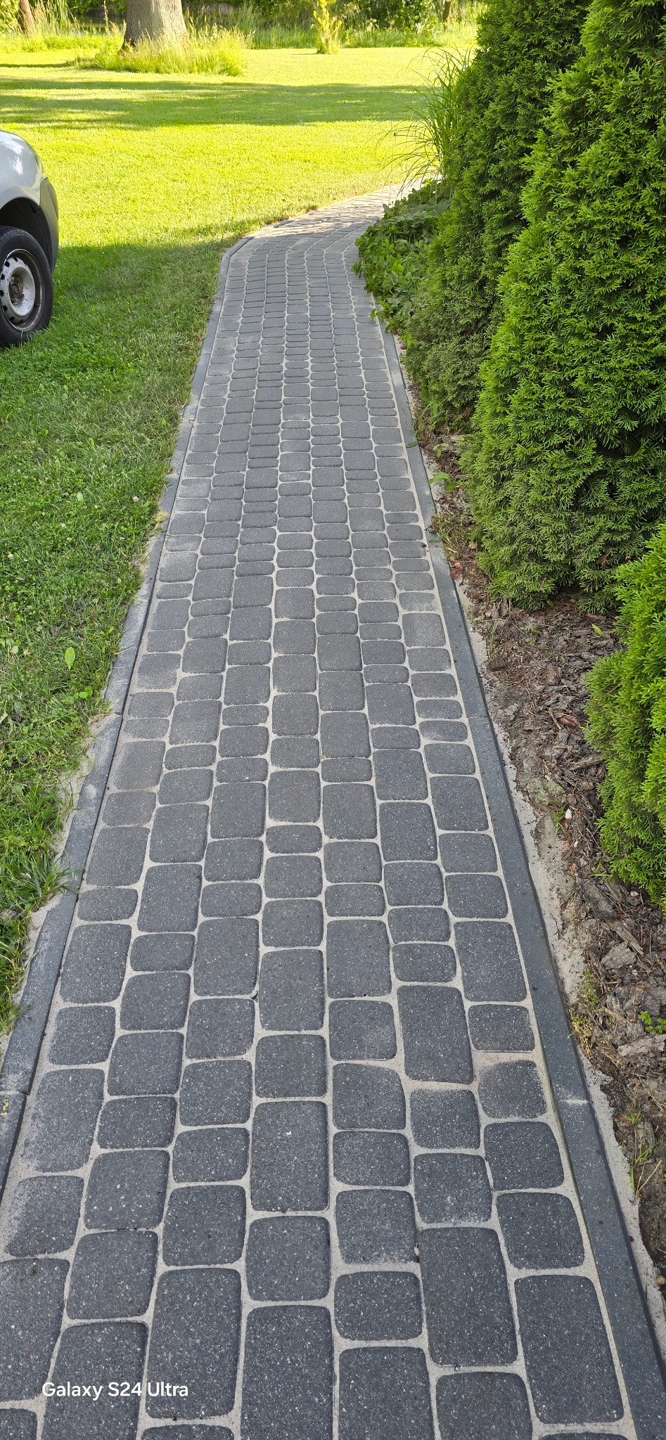 Ścieżka z ciemnoszarej kostki brukowej prowadząca przez trawnik, obok zadbanych krzewów iglastych.