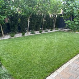 Kamil Łakomy - Świeżo założony trawnik z rolki, otoczony ozdobnymi drzewami i krzewami, z robotem koszącym w tle.