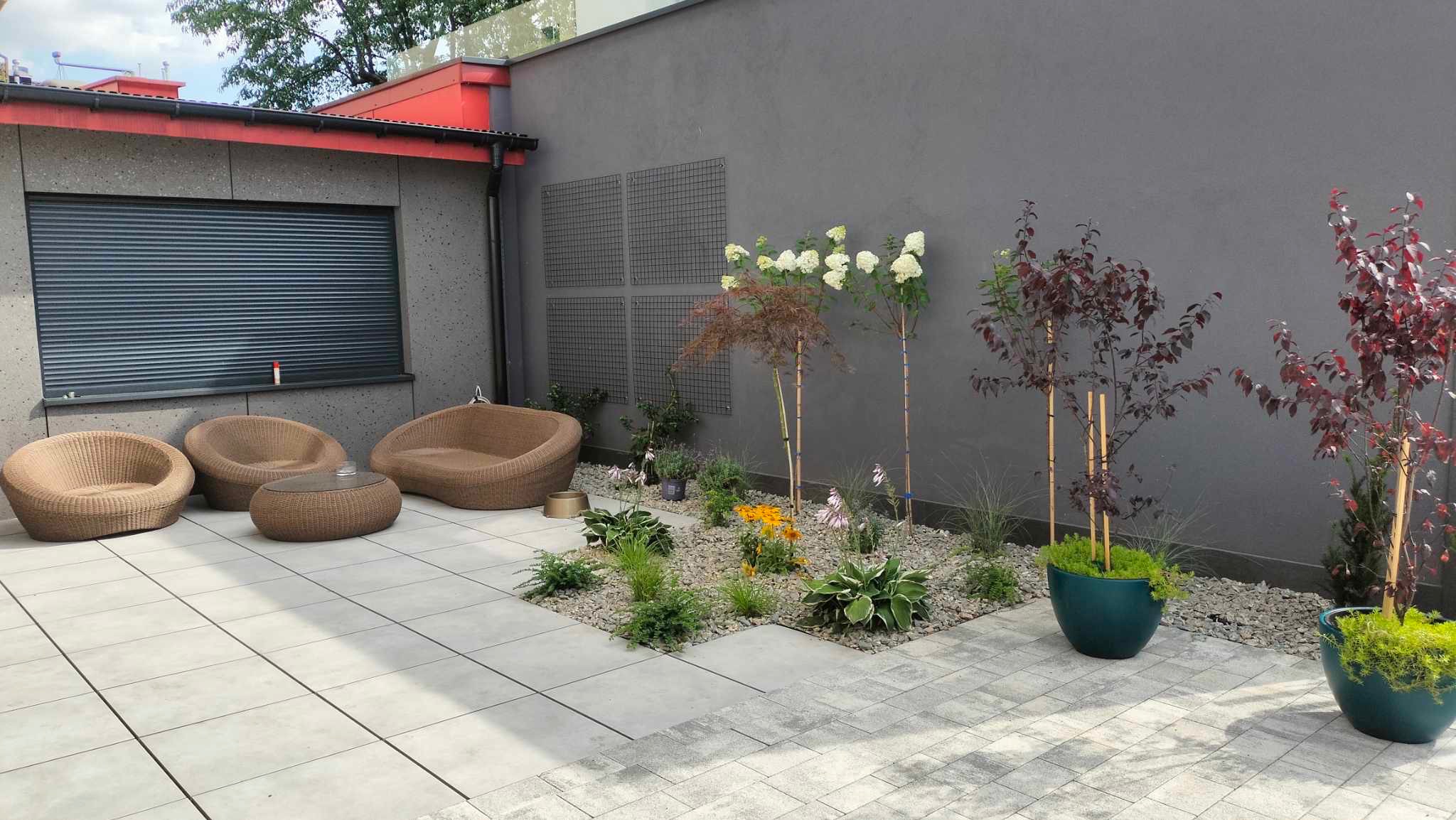 Nowoczesny ogród z szarym murem, ozdobnymi drzewami podpartymi bambusowymi tyczkami, rabatą z kamyków i roślin oraz meblami ogrodowymi z rattanu na jasnych płytach chodnikowych.