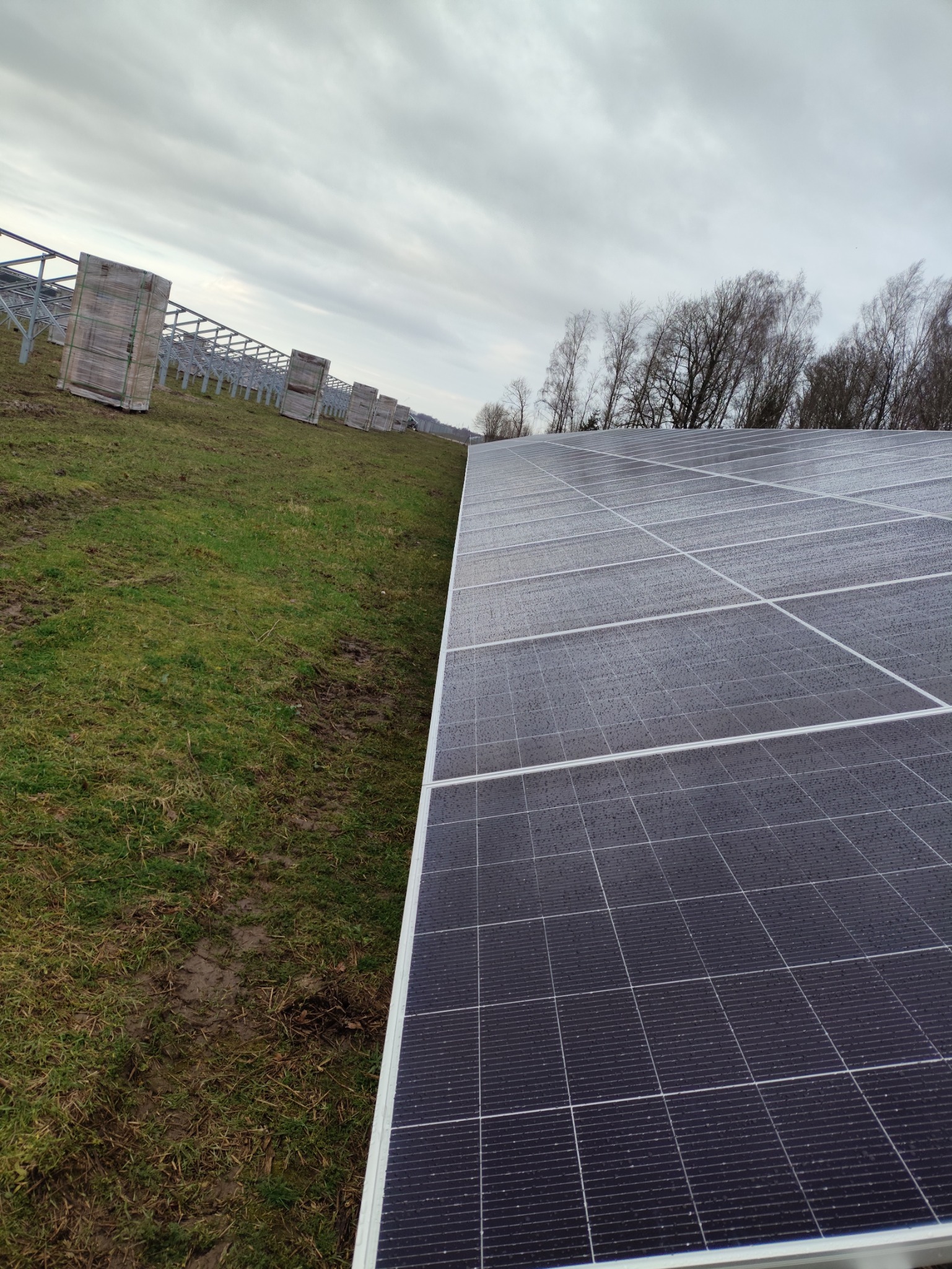 Ustawione panele fotowoltaiczne na trawiastym terenie, w tle widoczne konstrukcje wsporcze i zapakowane moduły. Pochmurne niebo.
