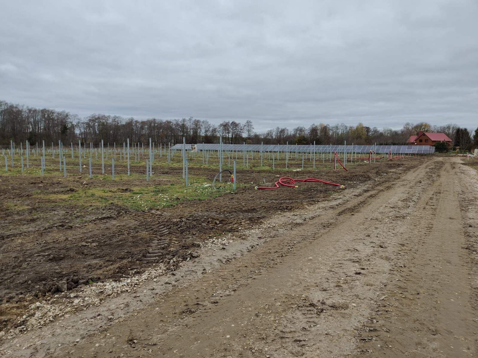 Montaż farmy fotowoltaicznej w toku: stalowe słupki, panele w tle, czerwone kable na ziemi. Widok na pole z instalacją w pochmurny dzień.