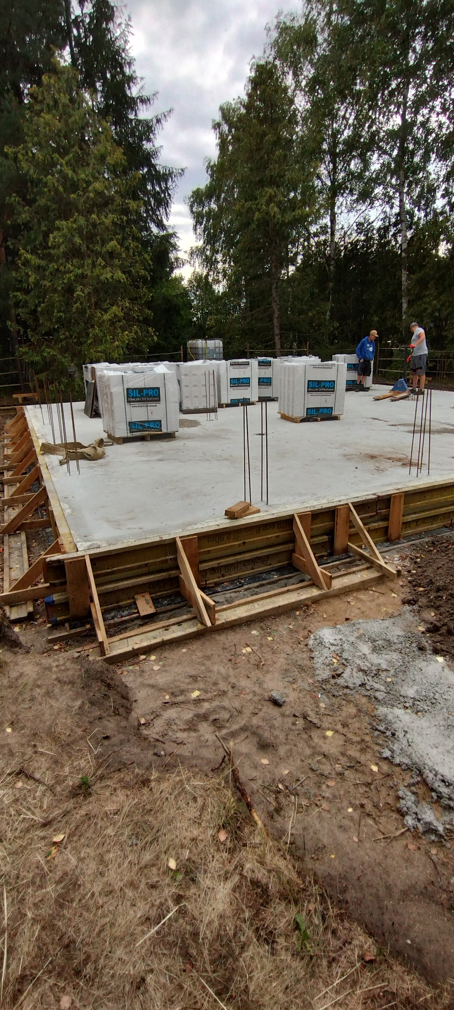 Zalany fundament pod dom, zbrojenie pionowe, szalunek drewniany, bloczki SIL-PRO na betonie. Dwóch pracowników w tle. Drzewa w tle. Prace budowlane w toku.