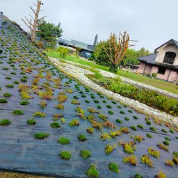 Sprzątanie mieszkań Radomsko 1