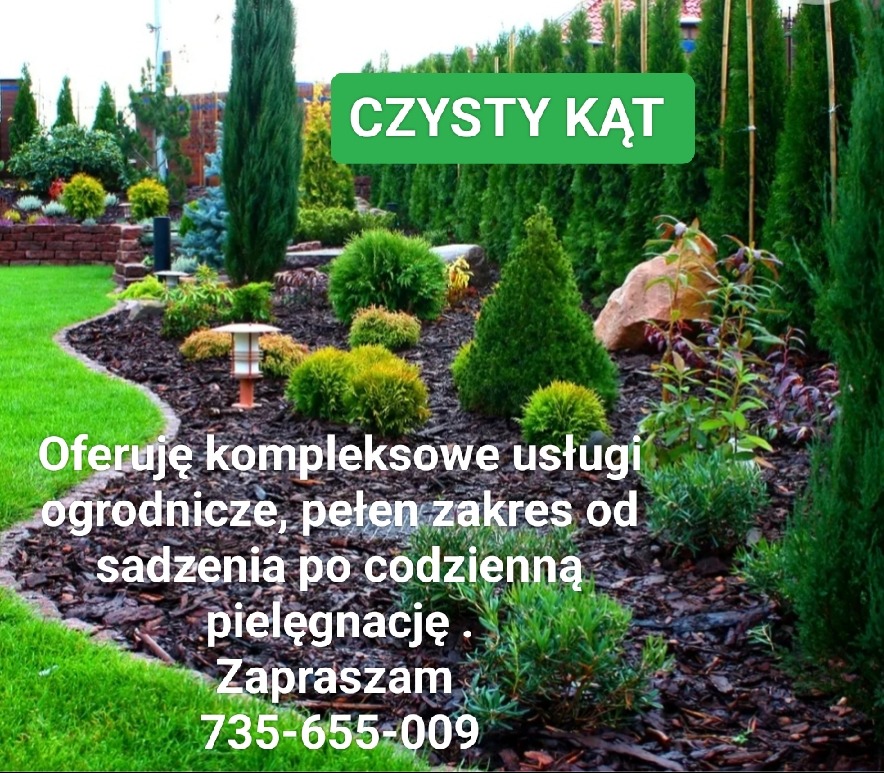 Starannie zagospodarowany ogród z różnorodnymi roślinami iglastymi i liściastymi, wyściółkowany korą, z dekoracyjnym oświetleniem i dużym kamieniem, prezentujący kompleksowe usługi ogrodnicze.