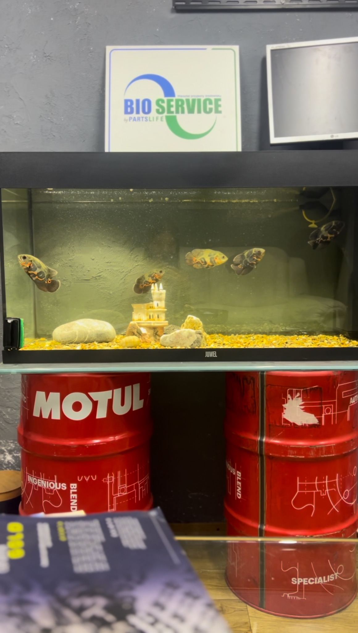 Akwarium z rybami na tle warsztatu, umieszczone na beczkach z olejem Motul. W tle widoczny monitor i logo firmy Bio Service.