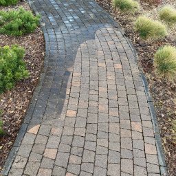 Adam Grzymkowski - Zakrzywiony chodnik z kostki brukowej, częściowo mokry, otoczony korą i roślinami ozdobnymi. Widok z góry, podkreślający fakturę kostki i kształt ścieżki.