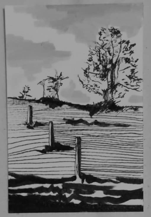 Czarno-biały szkic tuszem przedstawiający krajobraz z polami, drzewami i słupkami ogrodzenia, wykonany przez artystę z Łodzi.