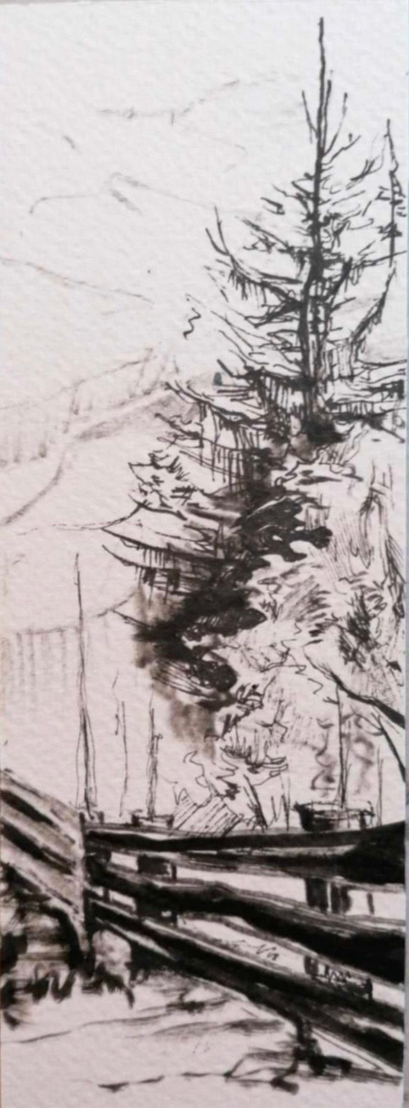 Czarno-biały szkic tuszem przedstawiający górski pejzaż z drzewami iglastymi i drewnianym ogrodzeniem w pierwszym planie.