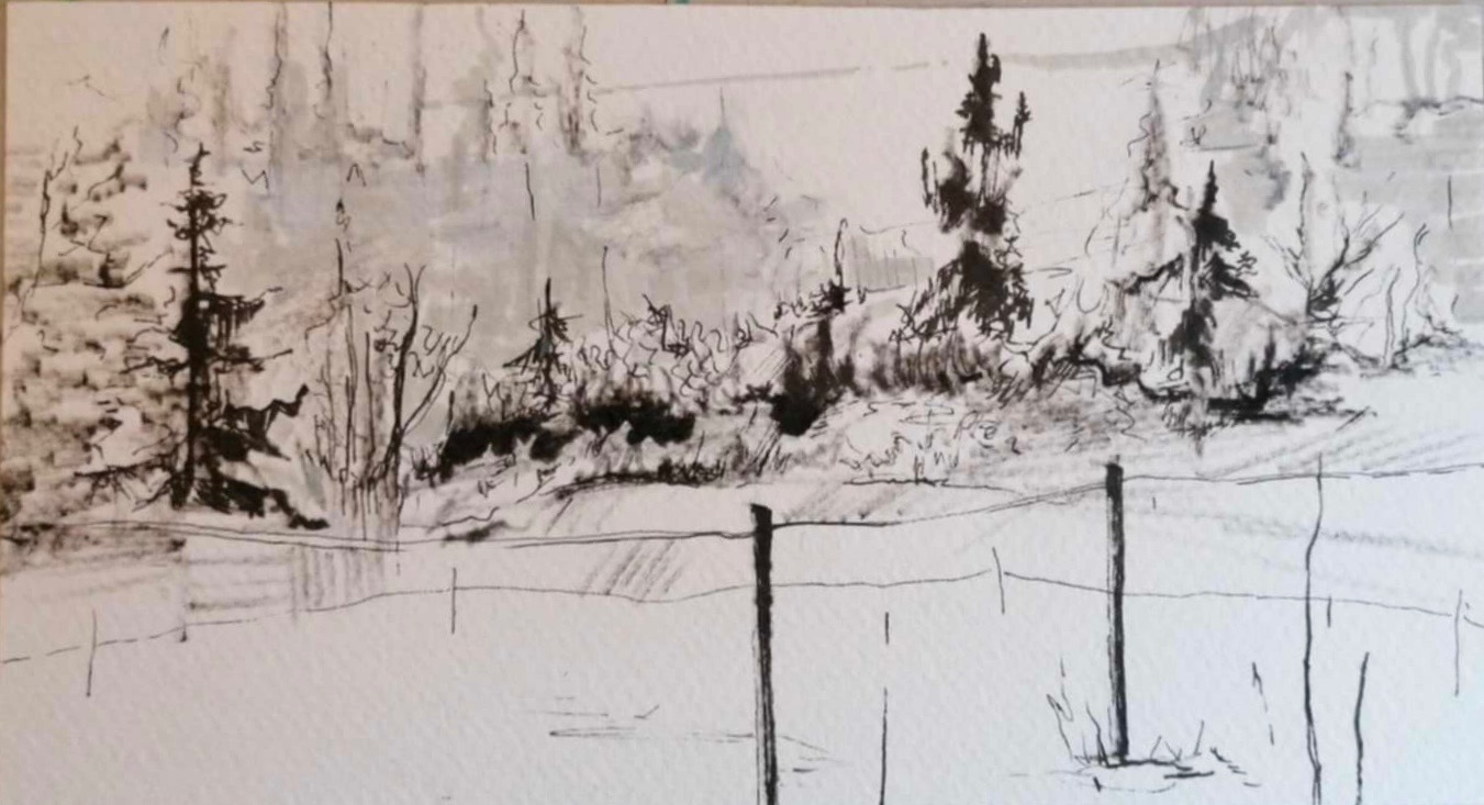 Szkic tuszem przedstawiający zimowy krajobraz z drzewami iglastymi i polami, widoczne detale faktury papieru.