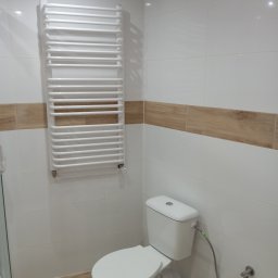 EdenBud - Biała łazienka z grzejnikiem drabinkowym, toaletą i dekoracyjnym pasem z płytek imitujących drewno.