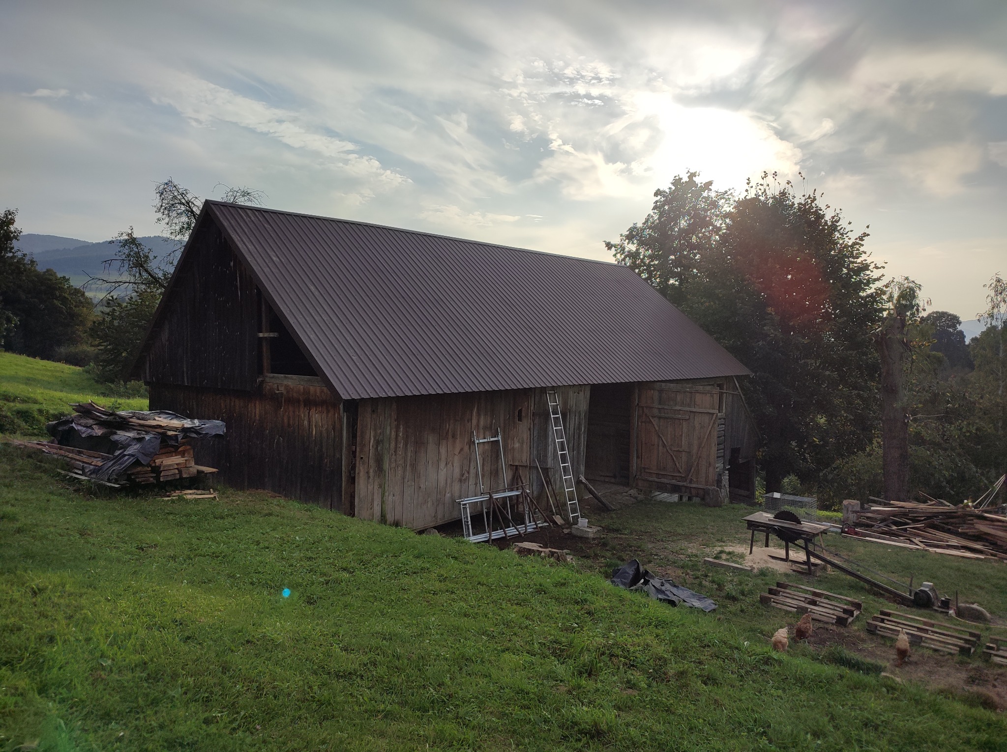 Stara drewniana stodoła z metalowym dachem na zielonym wzgórzu, w tle las i góry, obok sterty drewna i narzędzia ciesielskie, kury spacerujące po trawie.