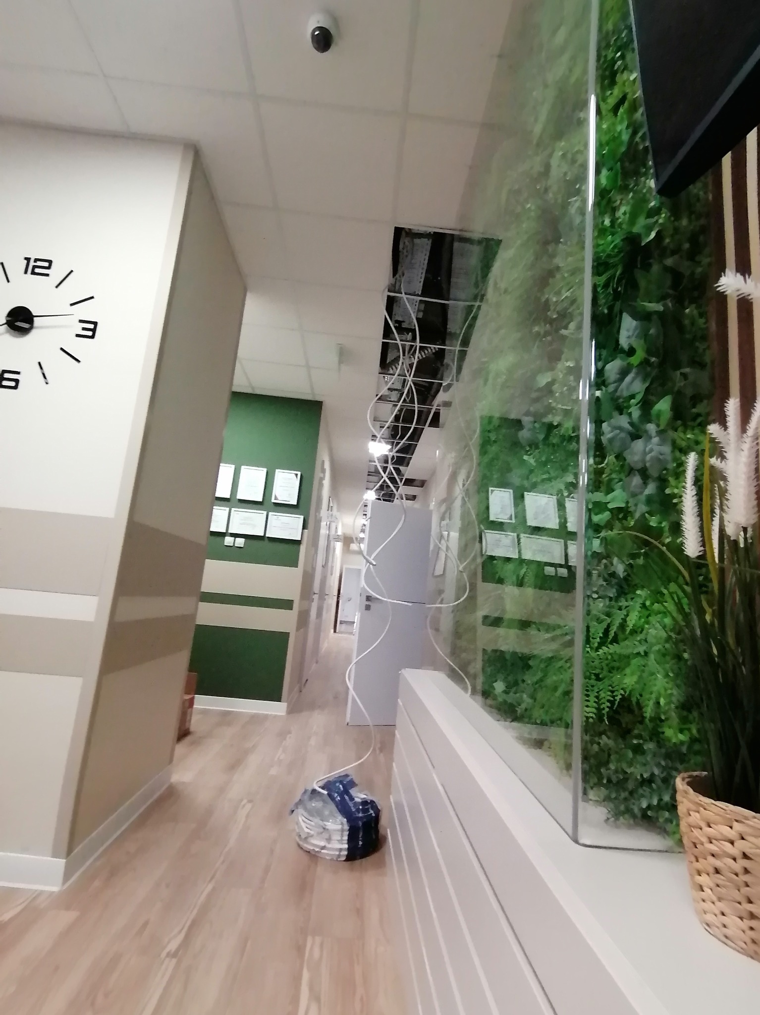 Kable wystające z sufitu w korytarzu biurowym z zieloną ścianą, widoczny zegar na ścianie i kamera monitoringu.