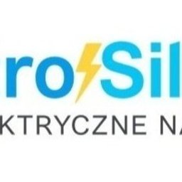 Elektrosilesia Paweł Michna - Porządne Odgromienie Domu w Rudzie Śląskiej