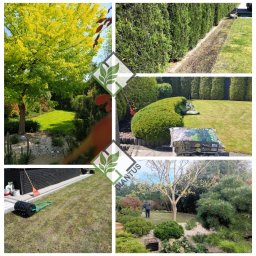 'Diantus' Projektowanie ogrodów, aranżacja tarasów i balkonów, opieka nad ogrodem - Wiosenna pielęgnacja ogrodów Diantus