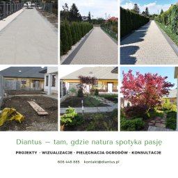'Diantus' Projektowanie ogrodów, aranżacja tarasów i balkonów, opieka nad ogrodem - Diantus usługi