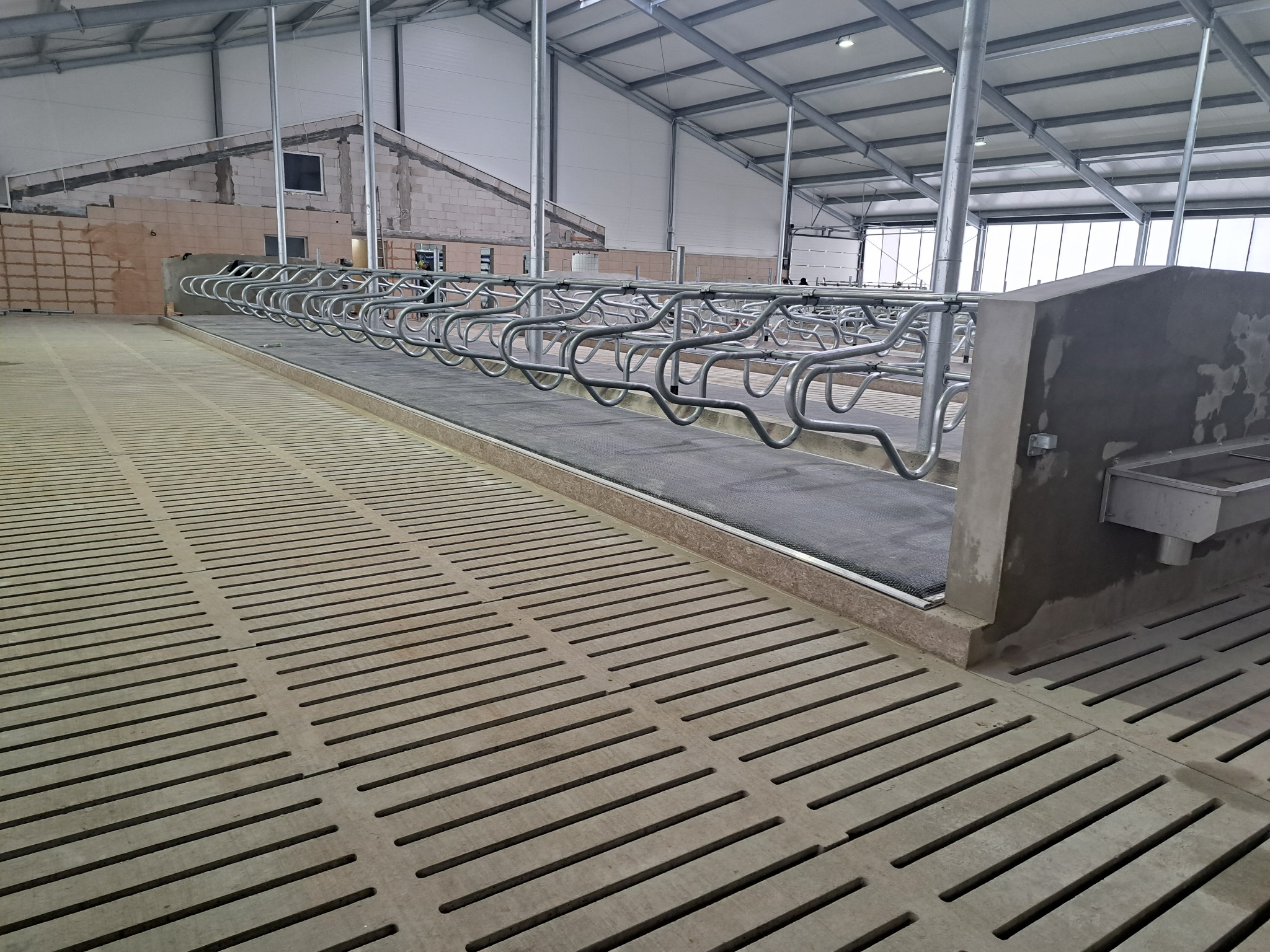 Nowoczesna hala rolnicza z betonową podłogą rusztową i metalowymi kojcami dla zwierząt, widok z perspektywy wnętrza, w tle budynek w trakcie budowy.