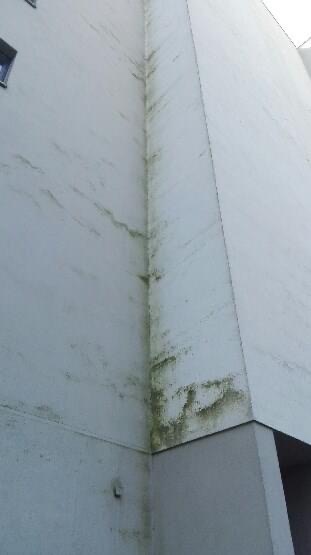 Zewnętrzna ściana budynku z widocznymi śladami zabrudzeń i zielonymi nalotami, prawdopodobnie pleśnią lub mchem, szczególnie widocznymi w rogach i wzdłuż krawędzi.