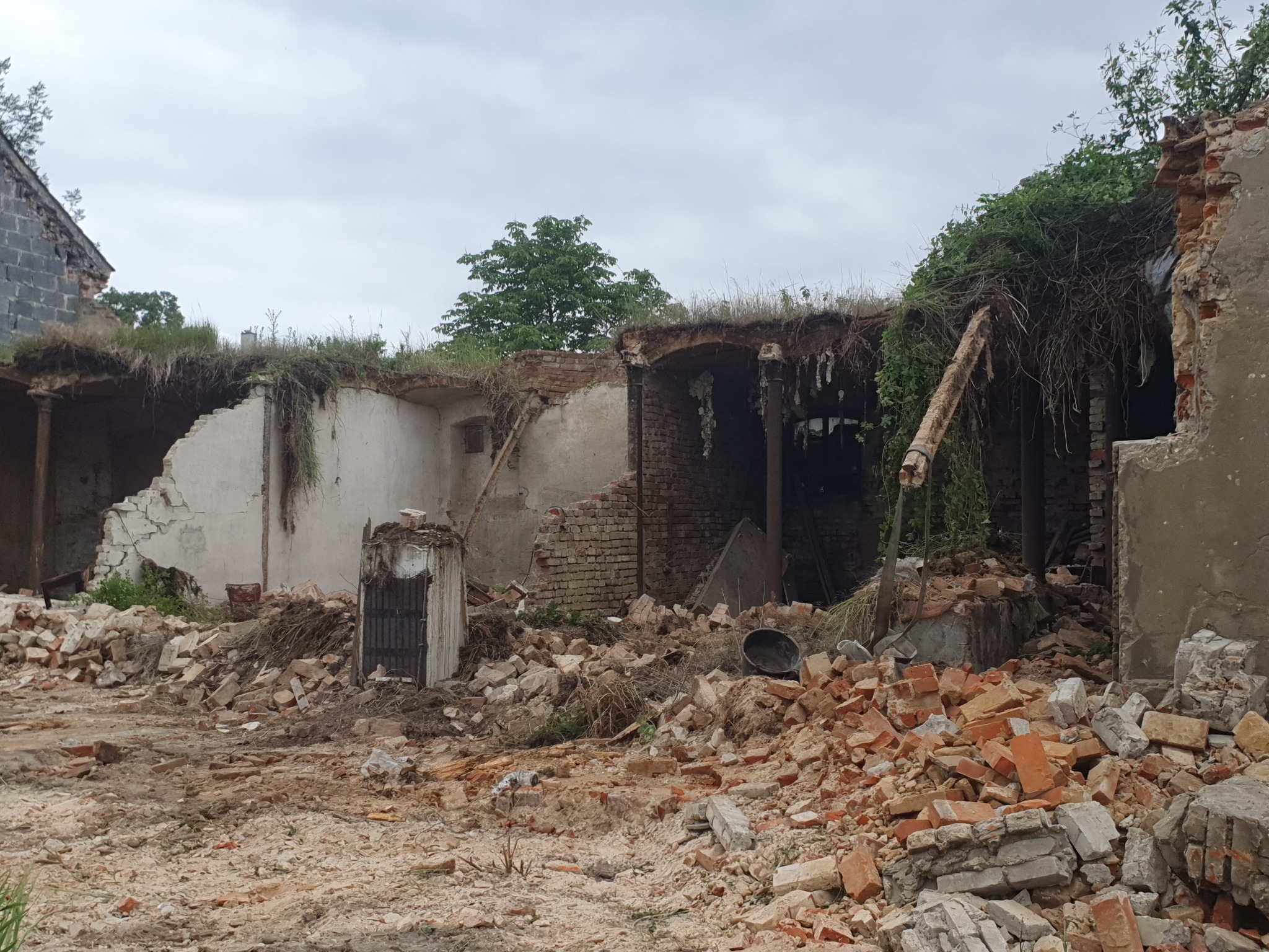 Resztki zniszczonego budynku z cegły i betonu, porośnięte roślinnością, z widocznym starym metalowym włazem.