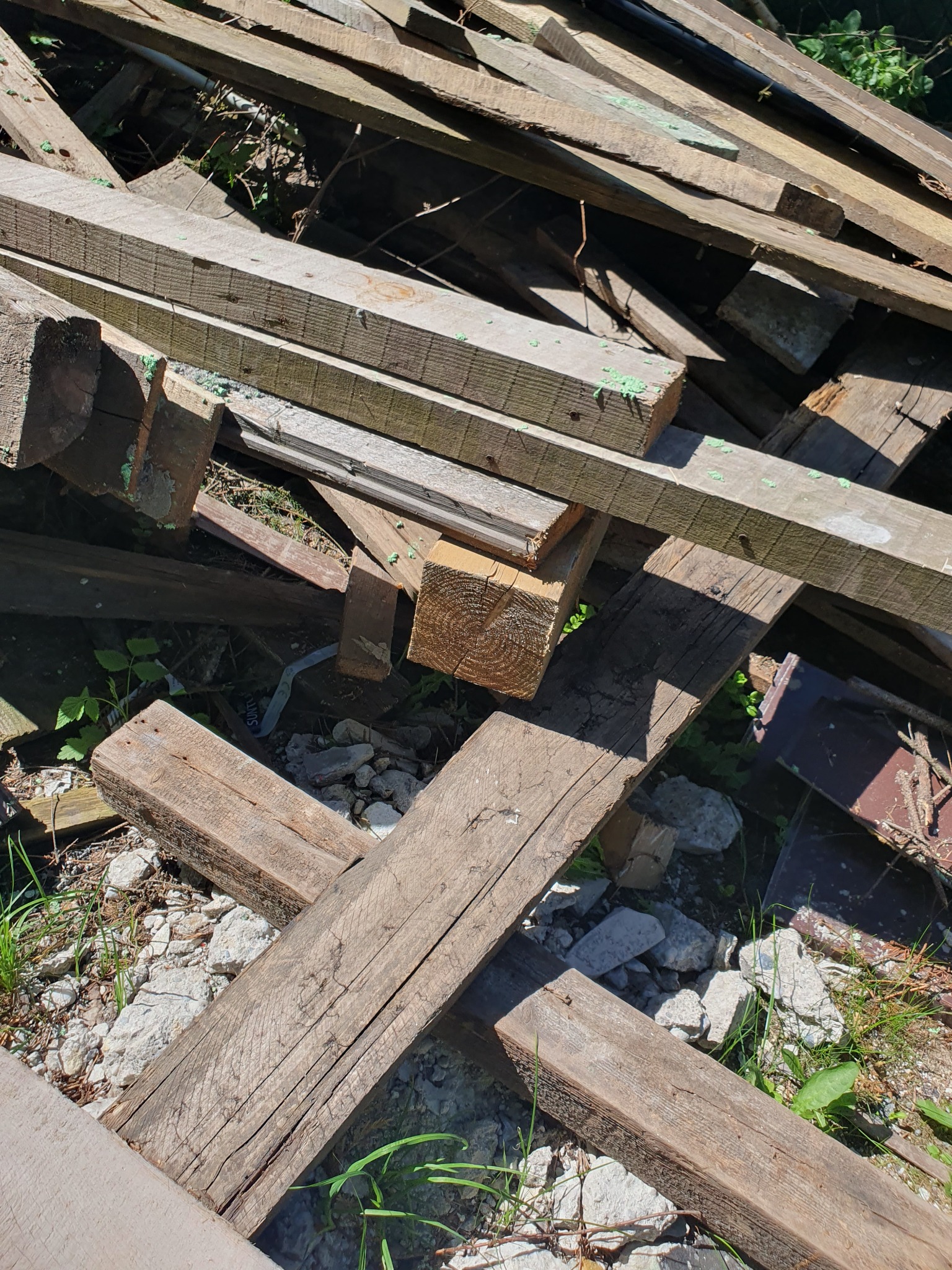 Stos drewnianych belek i desek, częściowo z zielonymi śladami, leżący na gruzowisku z fragmentami betonu i rosnącą trawą.