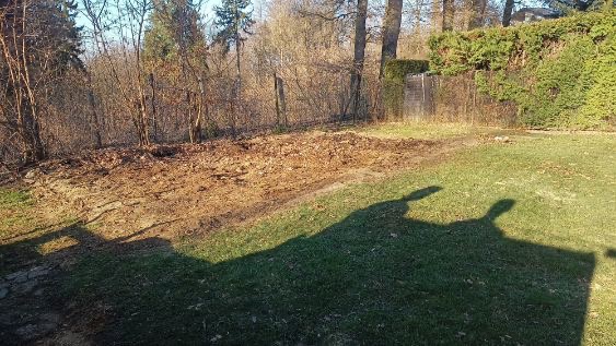 Przygotowany teren pod trawnik: wyrównana ziemia z pozostałościami po korzeniach i liściach, otoczona trawnikiem i drzewami w słoneczny dzień.