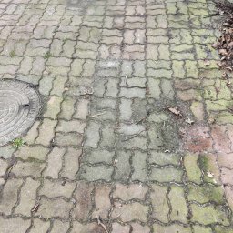 cleanup Karolina Ogrodnik - Brudna, zaniedbana kostka brukowa z widocznymi plamami, mchem w spoinach i liśćmi na powierzchni, przylegająca do studzienki kanalizacyjnej.