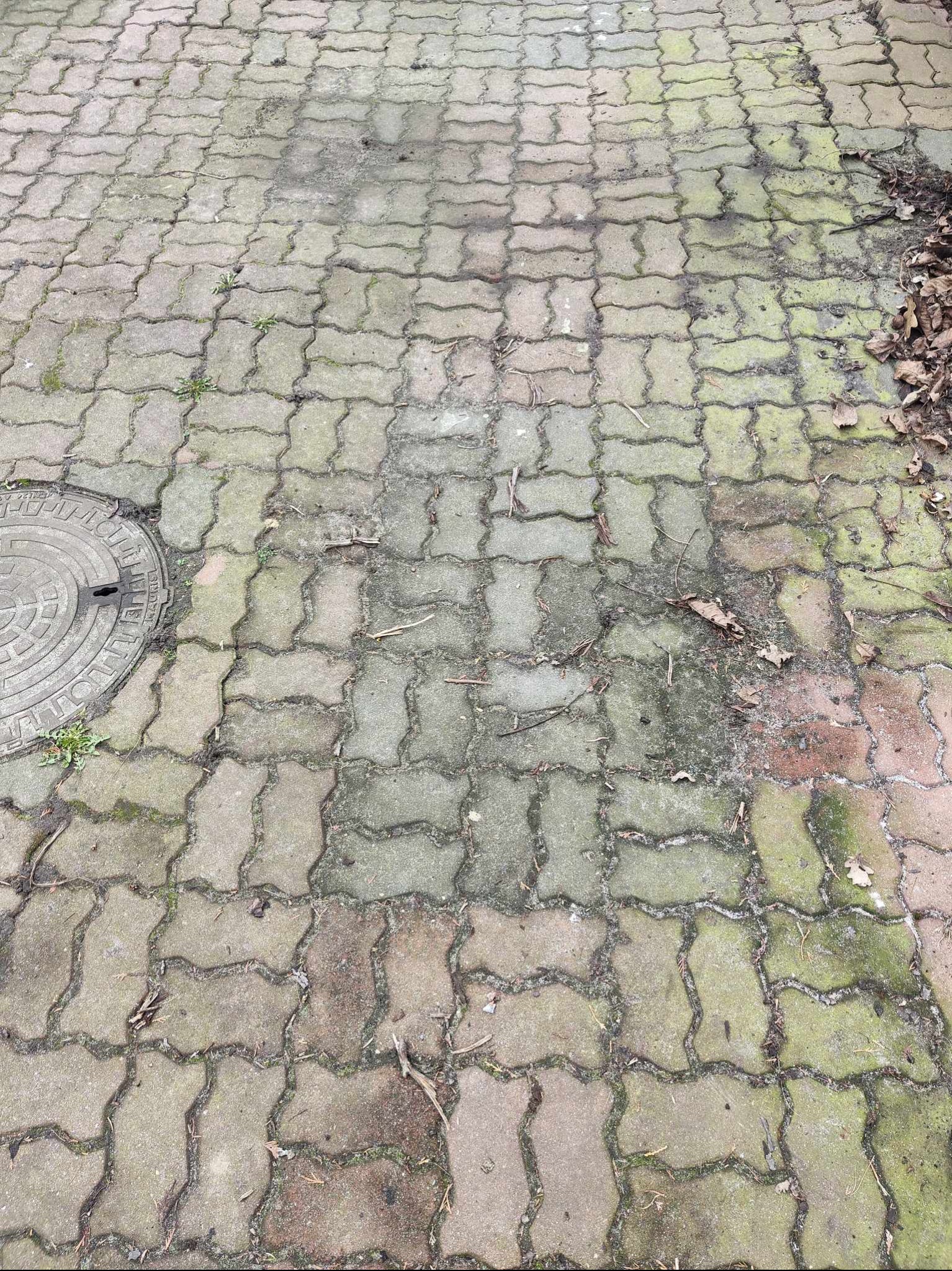Brudna, zaniedbana kostka brukowa z widocznymi plamami, mchem w spoinach i liśćmi na powierzchni, przylegająca do studzienki kanalizacyjnej.