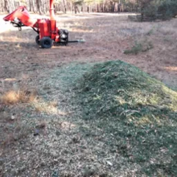 Czerwony rębakiem Cedrus stoi na skraju lasu obok sterty świeżych zrębków drzewnych.