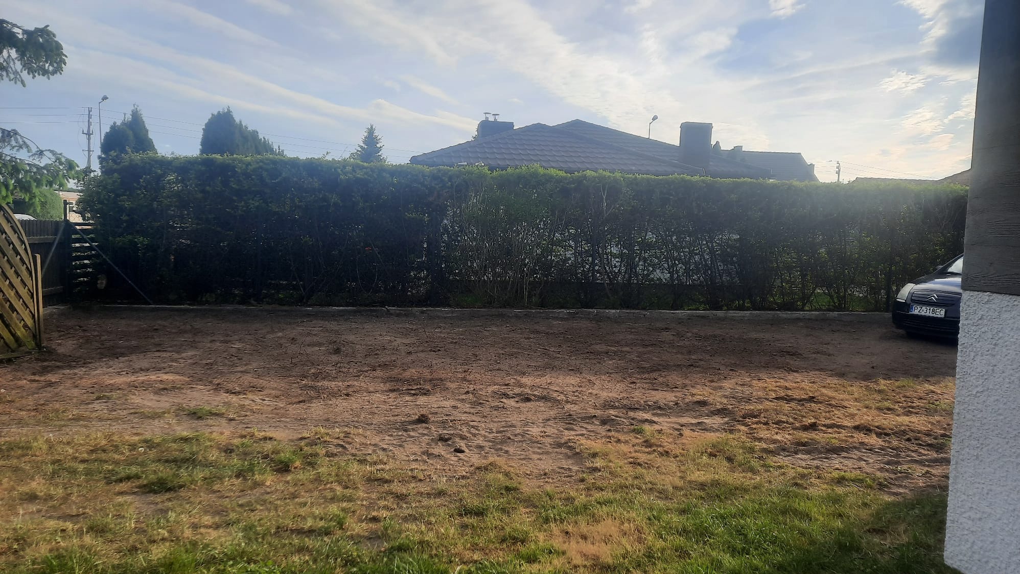 Przygotowany teren pod trawnik po niwelacji, widoczny żywopłot z tui i zaparkowany samochód osobowy.