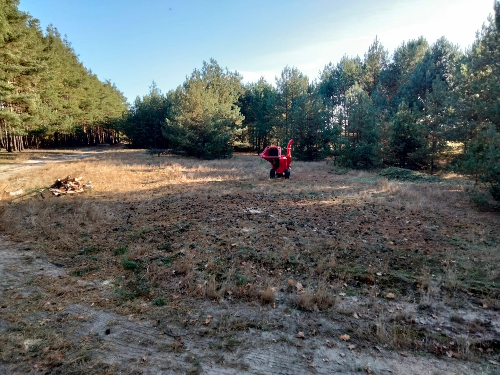 Czerwony rębak do gałęzi stoi na skraju lasu, obok stos ściętych gałęzi i świeżych zrębków, w słoneczny dzień.