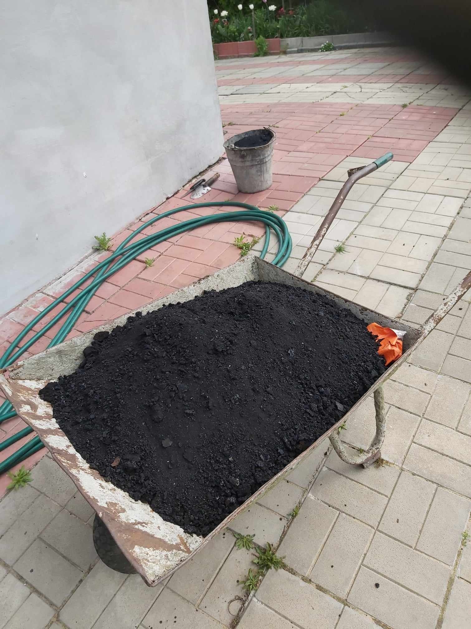 Taczka wypełniona czarną ziemią na tle chodnika z kostki, obok widoczny wąż ogrodowy i wiadro.