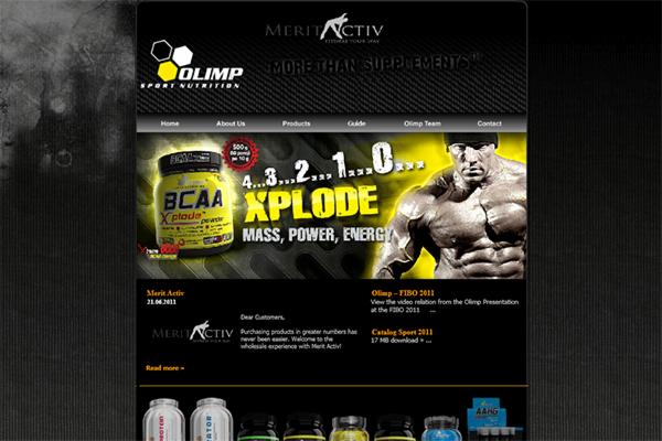 Stworzenie portalu internetowego z systemem newsów