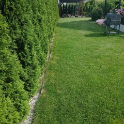 Prace ogrodnicze - Zadbany trawnik przylegający do rzędu wysokich, gęstych żywopłotów z tuj, w tle widoczna pergola z drabinką i elementy wyposażenia ogrodu.