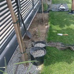Prace ogrodnicze - Przygotowanie do sadzenia drzewek przy nowoczesnym ogrodzeniu: drzewka podwiązane do palików, obok dwa wiadra z kamyczkami, łopata i szpadel na ziemi, narzędzia na czarnej macie.