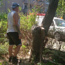 Prace ogrodnicze - Mężczyzna z tatuażem na ramieniu, w szarym kapeluszu i z piłą spalinową w dłoni, stoi obok częściowo przyciętego drzewa w miejskim otoczeniu, z widocznym budynkiem mieszkalnym w tle.