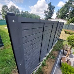 Wycinka drzew Oleśnica 4