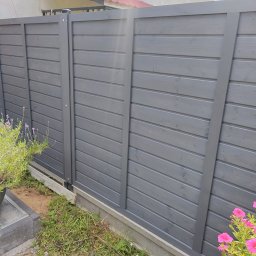 Wycinka drzew Oleśnica 1