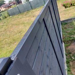 Wycinka drzew Oleśnica 3